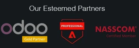 Odoo Gold Partner in India