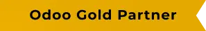 Odoo Gold Partner in India