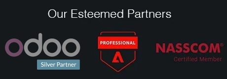 Odoo Silver Partner in US